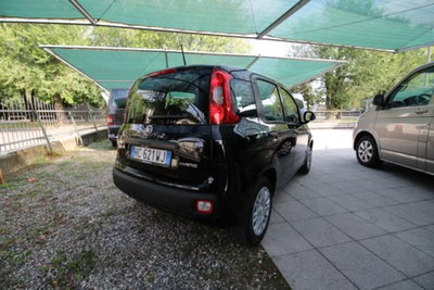 Fiat Panda 1.0 firefly hybrid Icon s&s 70cv (6)