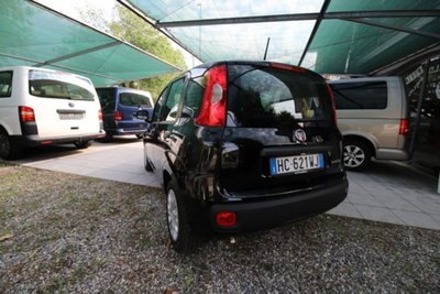 Fiat Panda 1.0 firefly hybrid Icon s&s 70cv (7)