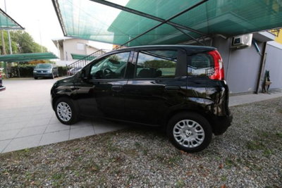 Fiat Panda 1.0 firefly hybrid Icon s&s 70cv (8)