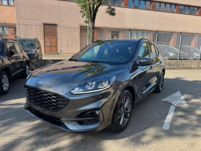 Ford Kuga 2.0 EcoBlue 120 CV aut. 2WD ST-Line X usata