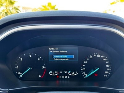 Ford Focus Station Wagon 1.5 EcoBlue 120 CV automatico SW Business Co-Pilot (15)