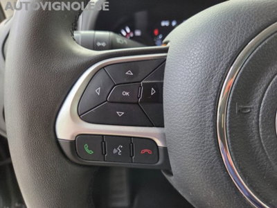 Jeep Renegade 1.3 t4 phev Trailhawk 4xe at6 (14)