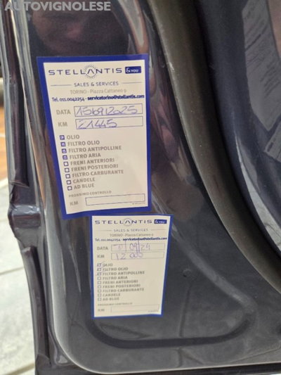 Jeep Renegade 1.3 t4 phev Trailhawk 4xe at6 (9)