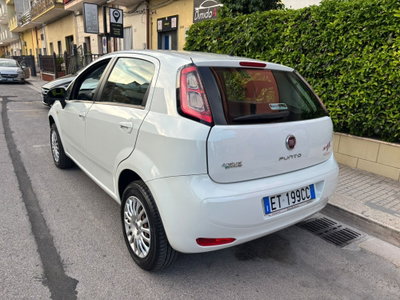 Fiat Punto 1.4 8V 5 porte Natural Power Easy (3)