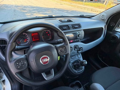 Fiat Panda van 1.0 hybrid Street 70cv 4p.ti serie 4 E6d (13)