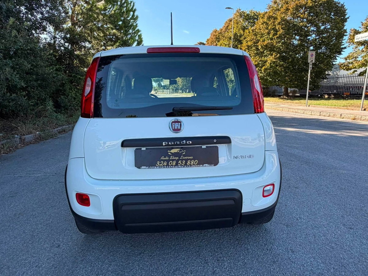 Fiat Panda van 1.0 hybrid Street 70cv 4p.ti serie 4 E6d (2)