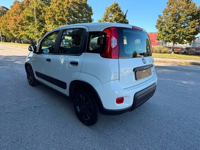 Fiat Panda van 1.0 hybrid Street 70cv 4p.ti serie 4 E6d (3)