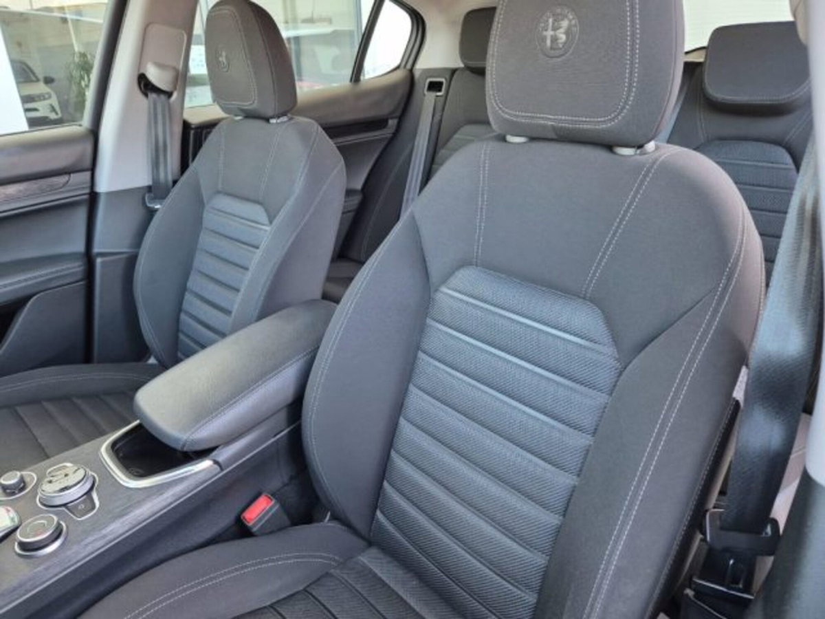 Alfa Romeo Stelvio Stelvio 2.2 Turbodiesel 160 CV AT8 RWD Super Business (7)