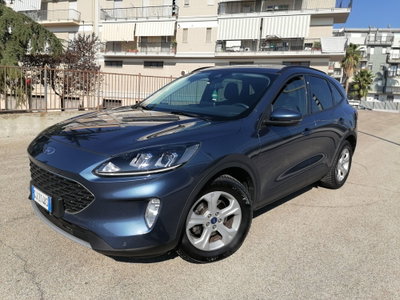 Ford Kuga 1.5 EcoBlue 120 CV 2WD Titanium usata