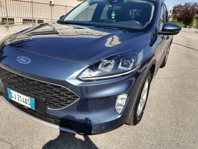 Ford Kuga 1.5 EcoBlue 120 CV 2WD Titanium (10)