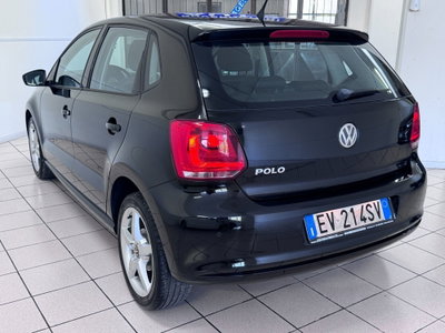 Volkswagen Polo 1.2 5 porte United (6)