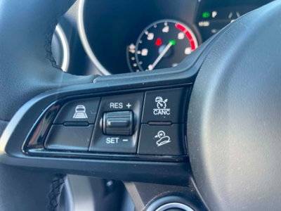 Alfa Romeo Stelvio Stelvio 2.2 Turbodiesel 160 CV AT8 RWD Business (5)