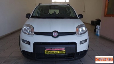 Fiat Panda 1.0 firefly hybrid Pop s&s 70cv usata