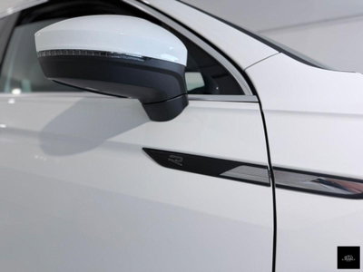 Volkswagen Tiguan 2.0 tdi R-Line 150cv dsg (9)