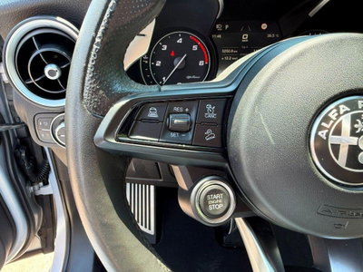 Alfa Romeo Stelvio Stelvio 2.2 Turbodiesel 190 CV AT8 Q4 Sprint (15)