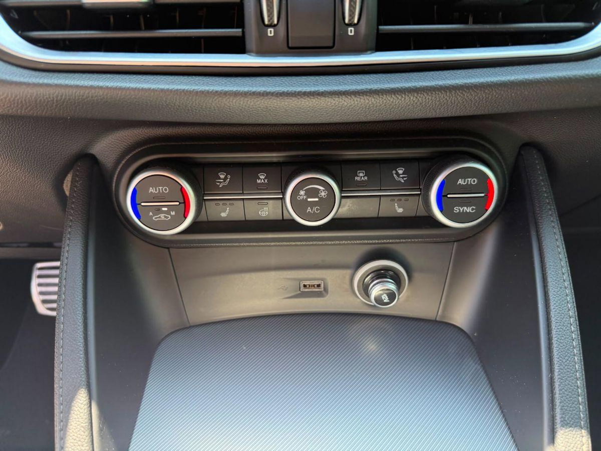 Alfa Romeo Stelvio Stelvio 2.2 Turbodiesel 190 CV AT8 Q4 Sprint (19)