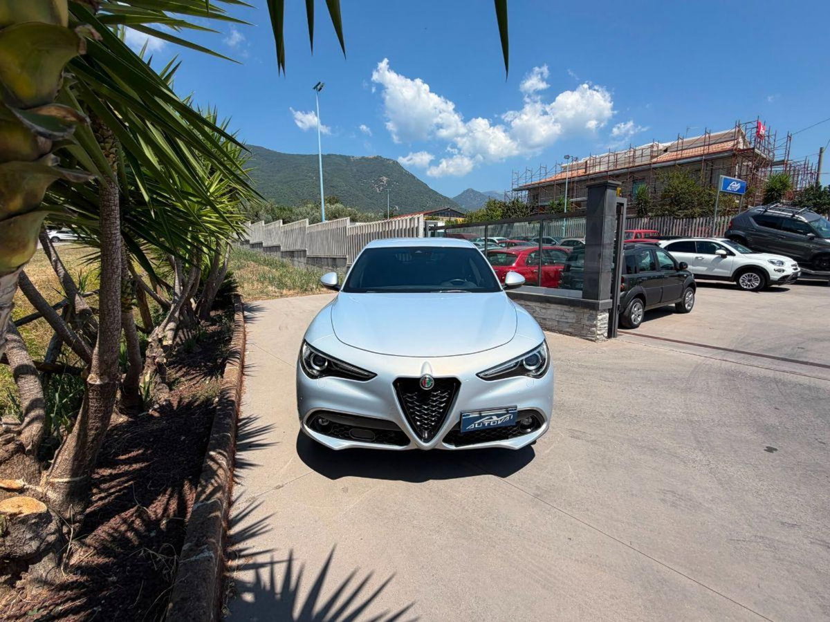 Alfa Romeo Stelvio Stelvio 2.2 Turbodiesel 190 CV AT8 Q4 Sprint (3)