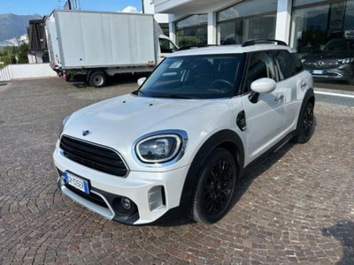 MINI Mini Countryman 2.0 Cooper D Northwood Edition Countryman (2)