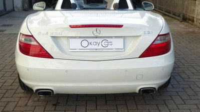 Mercedes-Benz SLK 250 CDI Sport (20)