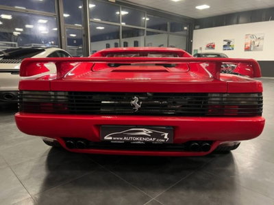 Ferrari 512TR 512 TR cat (14)