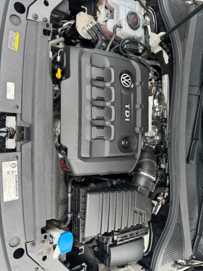 Volkswagen Tiguan 2.0 BiTDI SCR DSG 4MOTION Executive R-Line BMT (18)