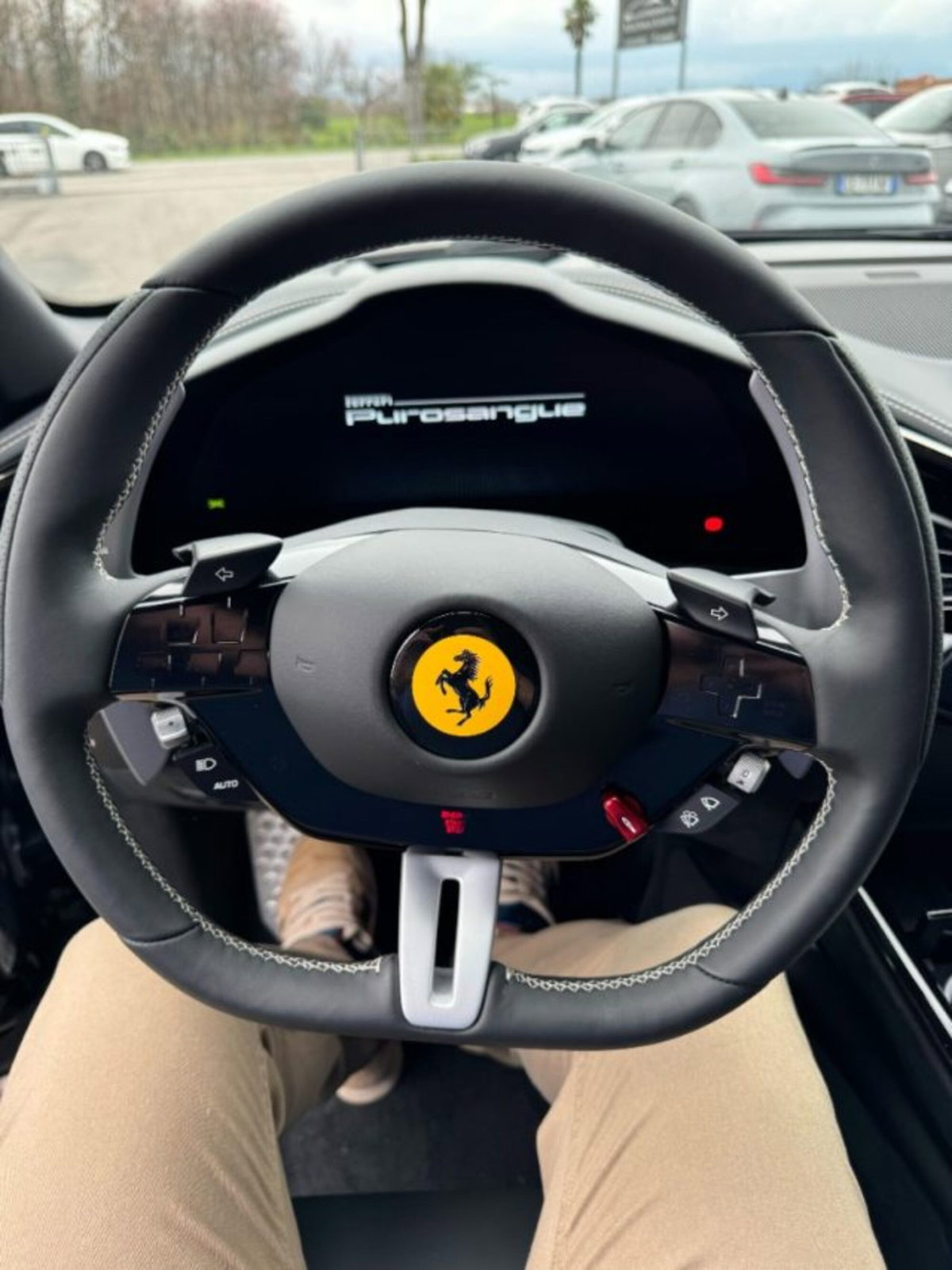 Ferrari Purosangue 6.5 (5)