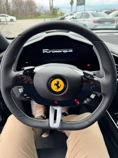 Ferrari Purosangue 6.5 (5)