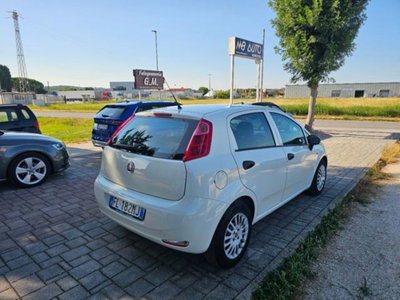 Fiat Punto 1.3 MJT II S&S 95 CV 5 porte Street (5)