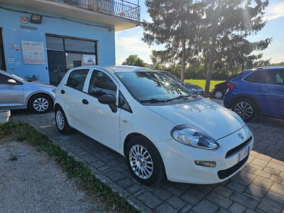 Fiat Punto 1.3 MJT II S&S 95 CV 5 porte Street (7)