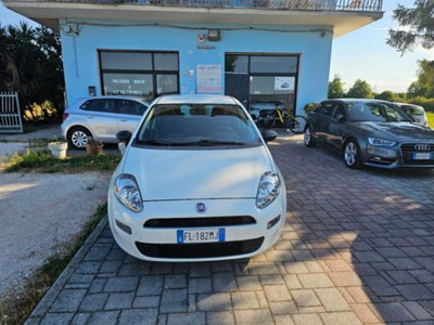 Fiat Punto 1.3 MJT II S&S 95 CV 5 porte Street (8)