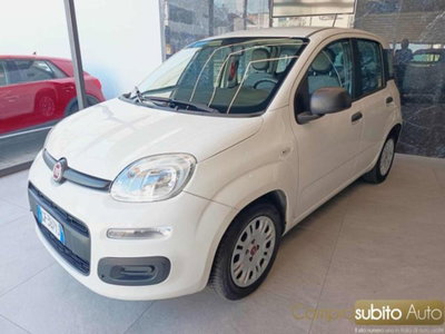 Fiat Panda 1.0 firefly hybrid s&s 70cv 5p.ti (2)