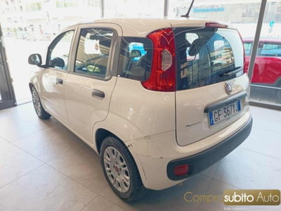 Fiat Panda 1.0 firefly hybrid s&s 70cv 5p.ti (4)