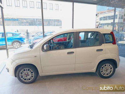 Fiat Panda 1.0 firefly hybrid s&s 70cv 5p.ti (8)