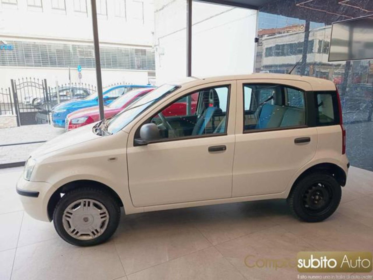 Fiat Panda 1.4 Climbing Natural Power (5)