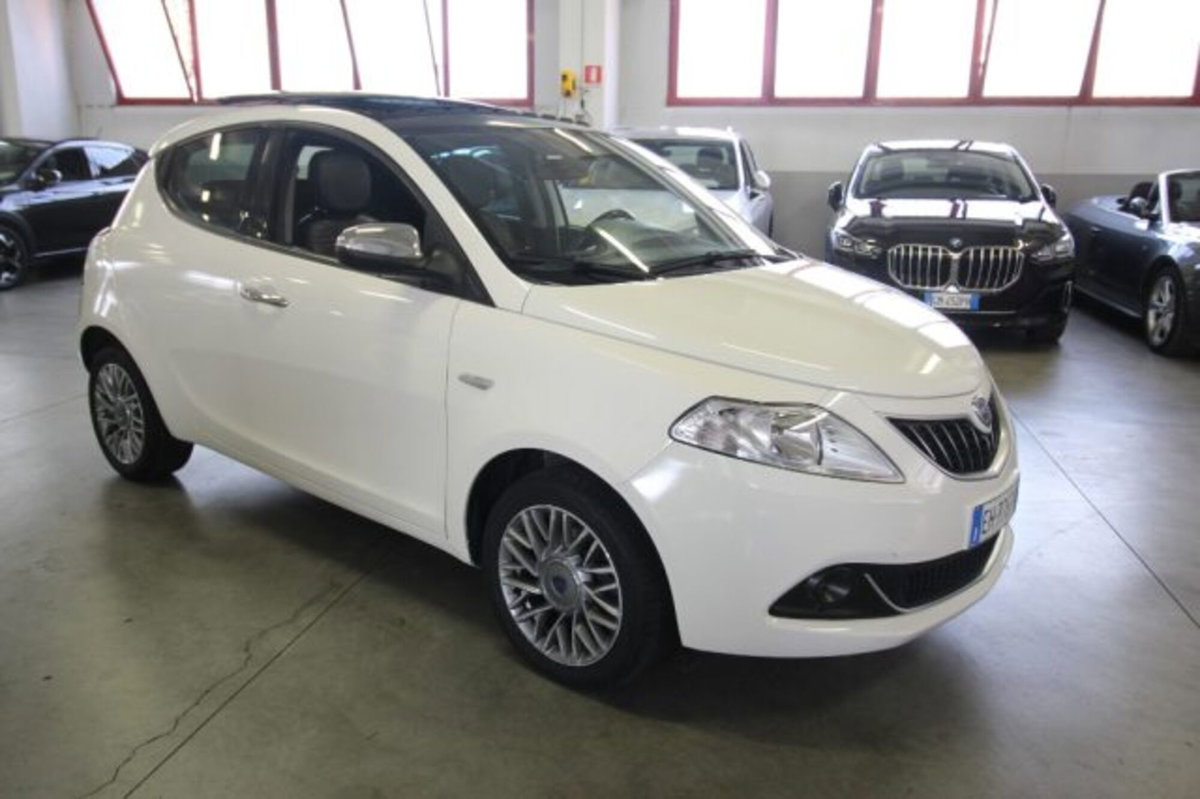 Lancia Ypsilon 1.3 MJT 16V 95 CV 5 porte S&S Platinum (3)
