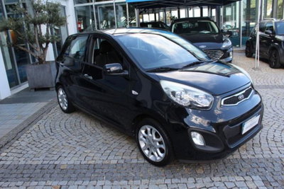 Kia Picanto 1.0 12V 5 porte Cool (5)