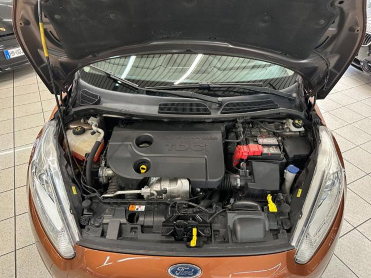 Ford Fiesta 1.6 TDCi 95CV 3 porte Titanium (6)