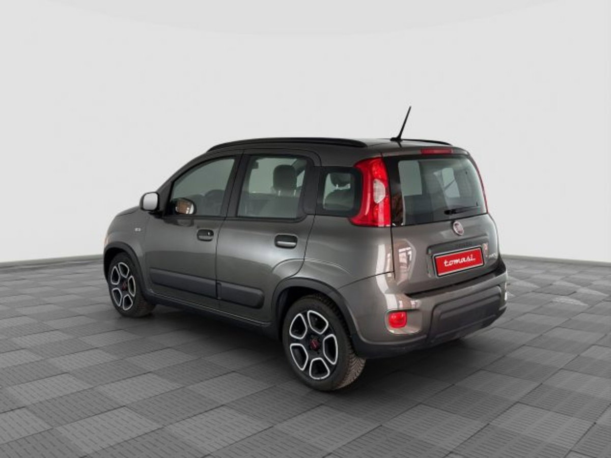 Fiat Panda 1.0 FireFly S&S Hybrid City Cross (3)