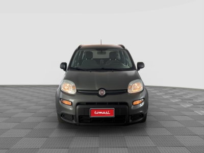 Fiat Panda 1.0 FireFly S&S Hybrid City Cross (8)