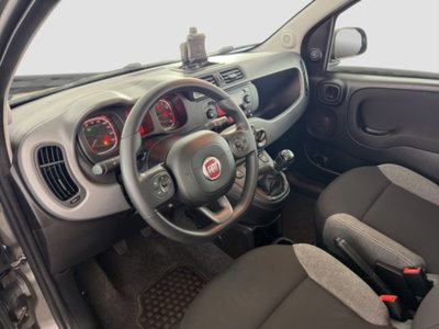 Fiat Panda 1.0 FireFly S&S Hybrid City Cross (9)
