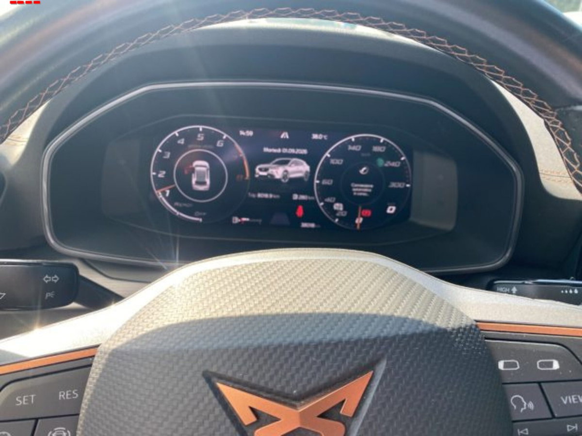 Cupra Formentor Formentor 1.5 TSI (12)