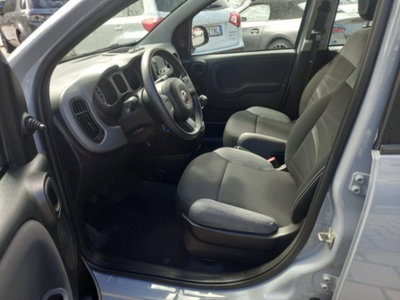 Fiat Panda 1.0 firefly hybrid s&s 70cv 5p.ti (8)