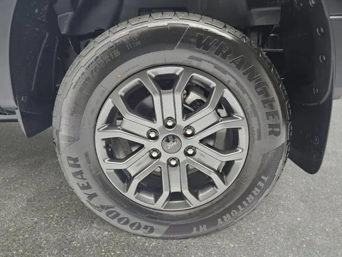 Ford Ranger Pick-up Ranger 2.0 ECOBLUE aut. DC Wildtrak 5 posti (14)