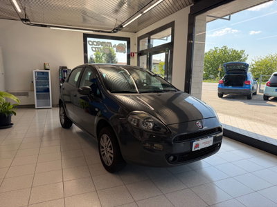 Fiat Punto 1.4 8V 5 porte Natural Power Lounge usata