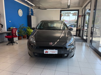 Fiat Punto 1.4 8V 5 porte Natural Power Lounge (2)