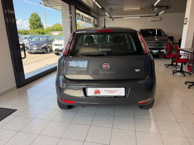 Fiat Punto 1.4 8V 5 porte Natural Power Lounge (5)