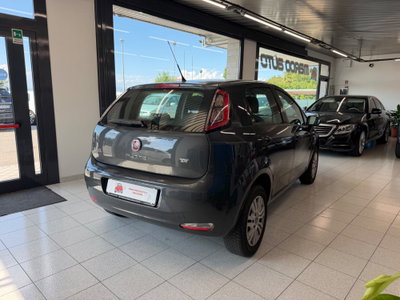 Fiat Punto 1.4 8V 5 porte Natural Power Lounge (6)