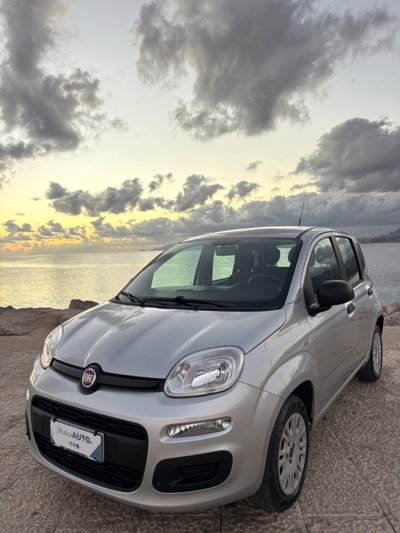 Fiat Panda 1.2 Easy usata