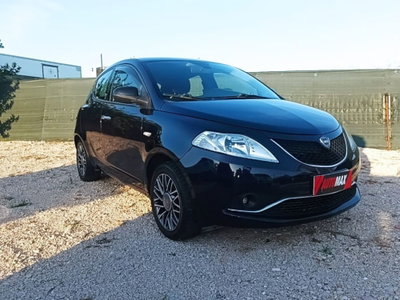 Lancia Ypsilon 1.2 69 CV 5 porte Platinum (2)