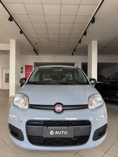 Fiat Panda Cross Cross 1.0 FireFly S&S Hybrid usata